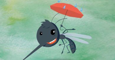 When-the-mosquitoes-comes-and-goes-away?