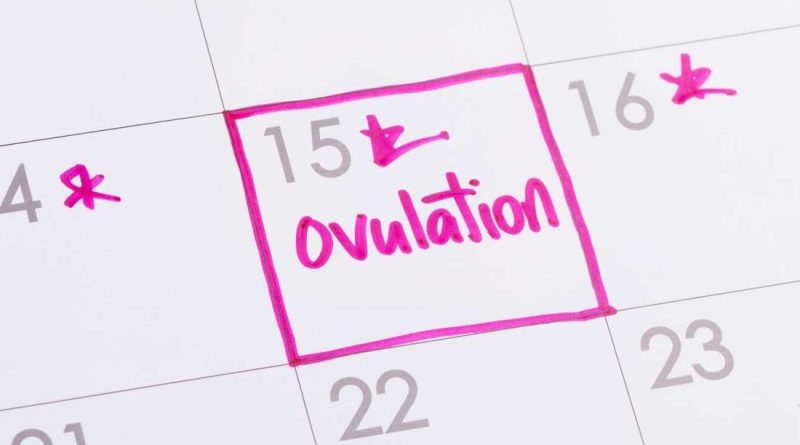 How-to-Track-Your-Ovulation-to-Get-Pregnant?